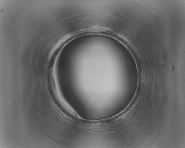 X0000061721410200512231357