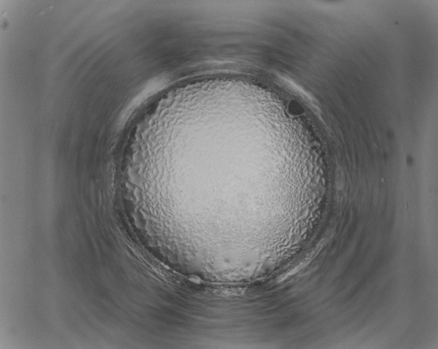 X0000061721411200512231357