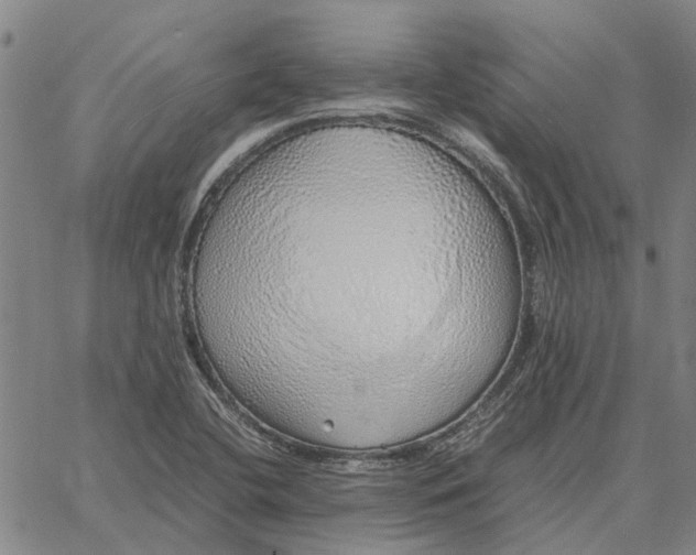 X0000061721412200512231357