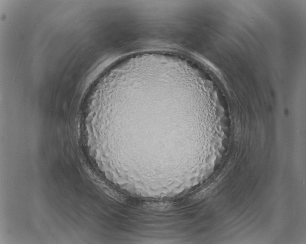 X0000061721415200512231357