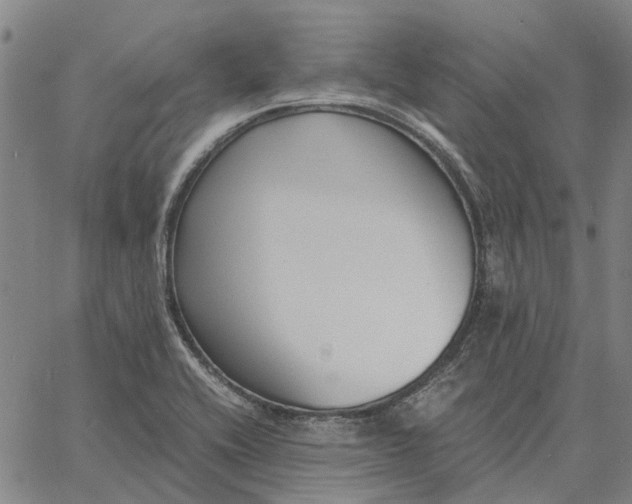 X0000061721416200512231357