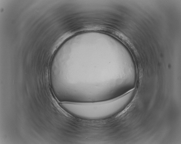 X0000061721417200512231357