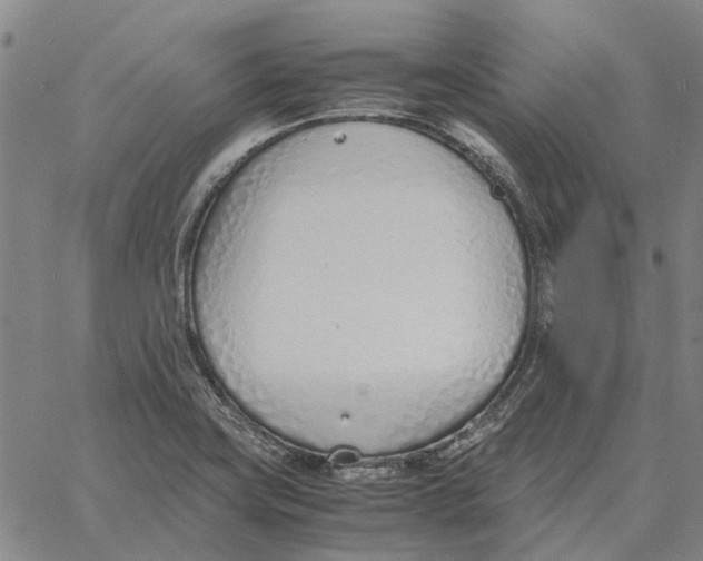 X0000061721419200512231357