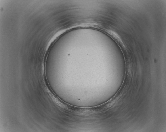 X0000061721420200512231357