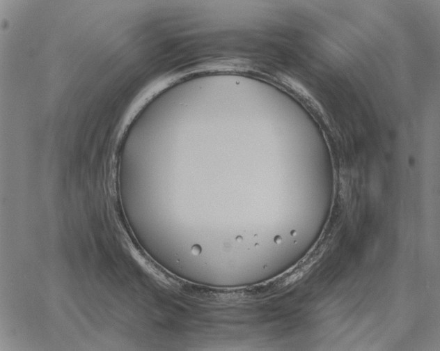 X0000061721421200512231357