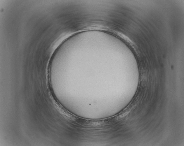 X0000061721423200512231357