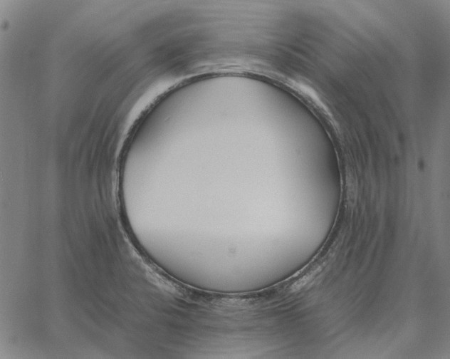 X0000061721424200512231357