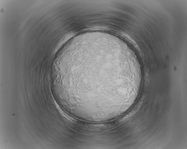 X0000061721425200512231357