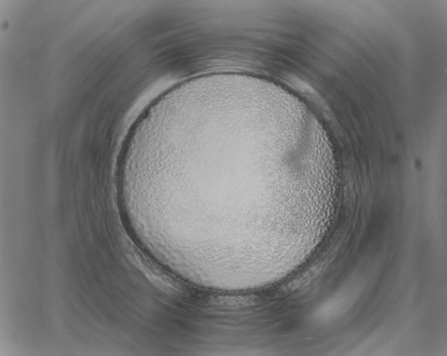 X0000061721427200512231357