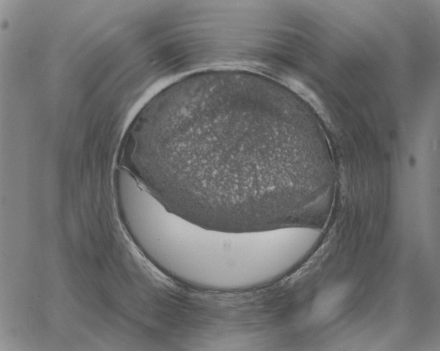 X0000061721428200512231357