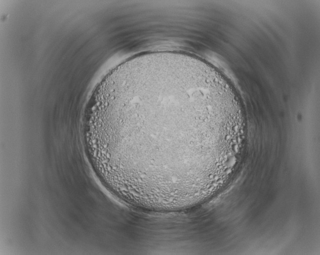 X0000061721429200512231357