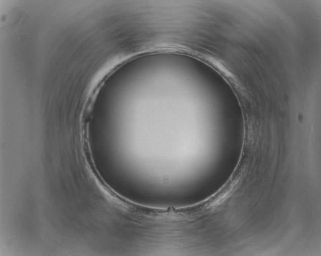 X0000061721430200512231357