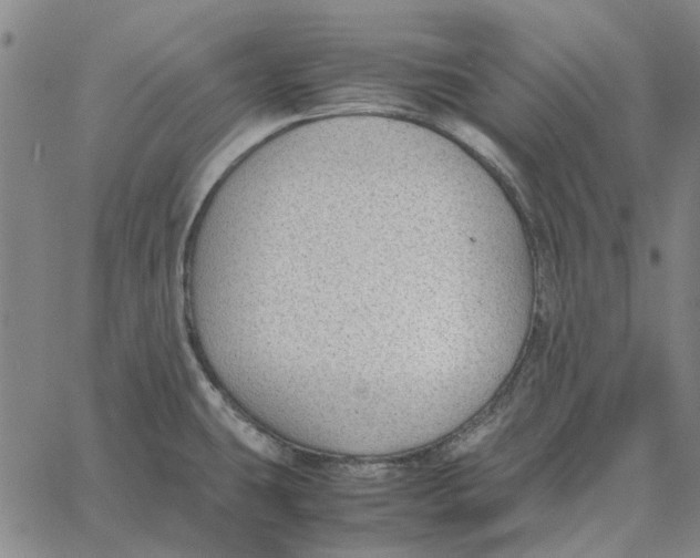 X0000061721431200512231357