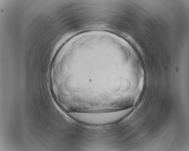 X0000061721432200512231357