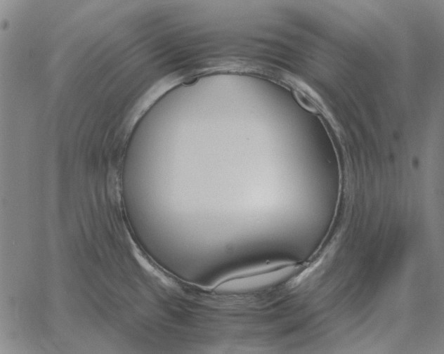 X0000061721433200512231357