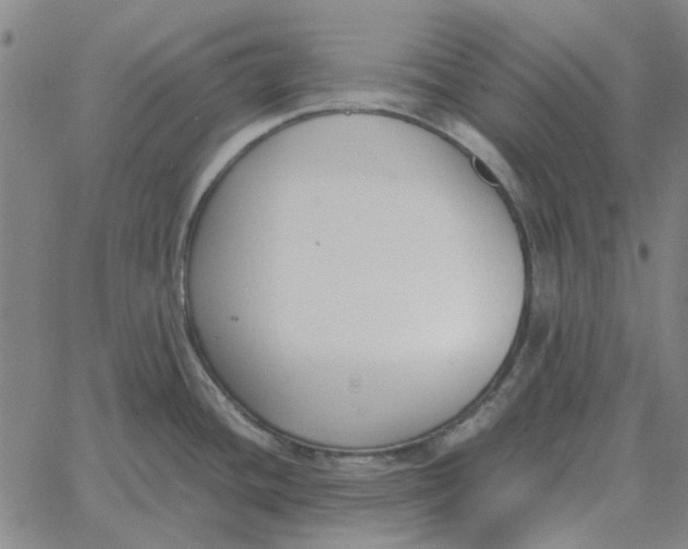 X0000061721436200512231357