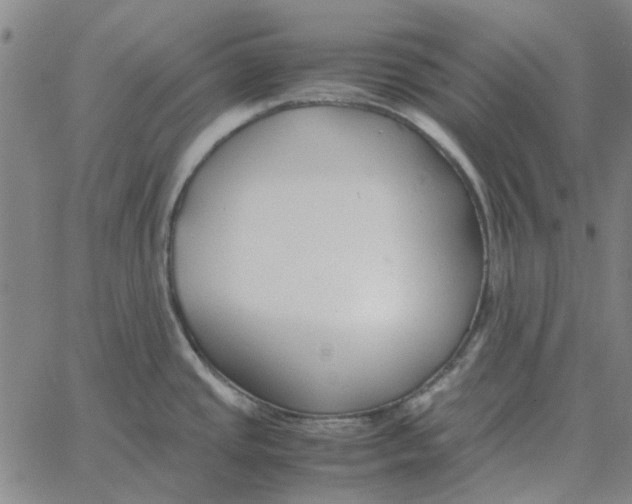 X0000061721437200512231357