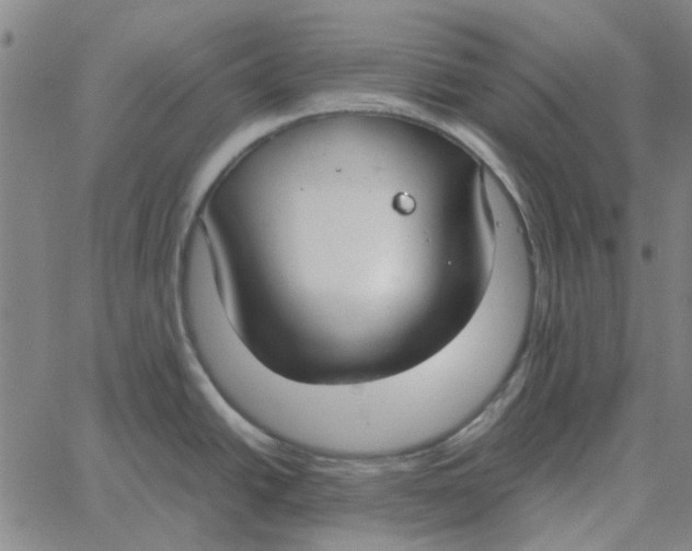 X0000061721438200512231357