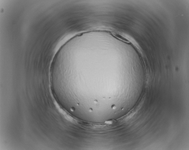 X0000061721439200512231357