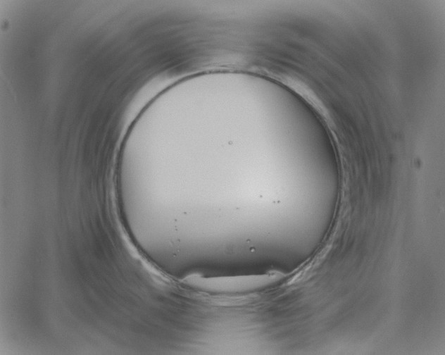 X0000061721440200512231357