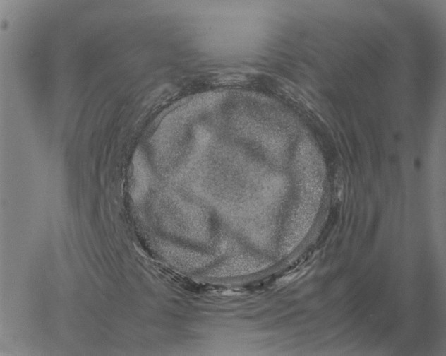 X0000061721441200512231356