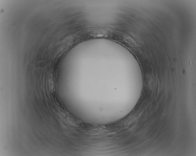 X0000061721442200512231356