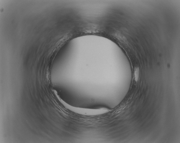 X0000061721444200512231356