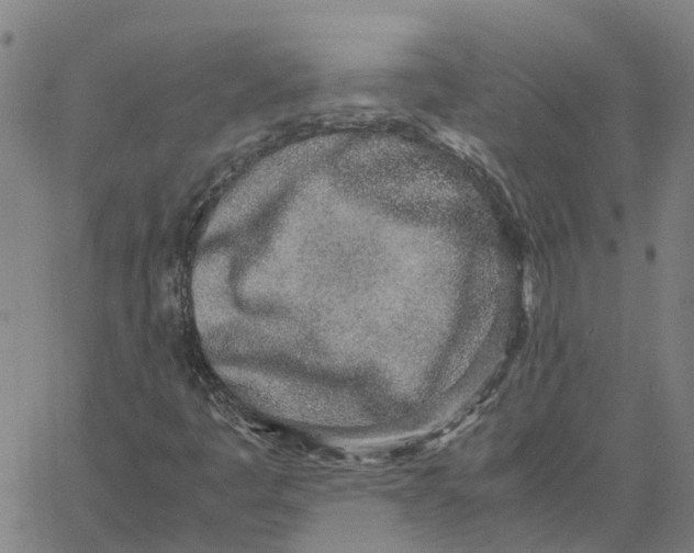 X0000061721445200512231356