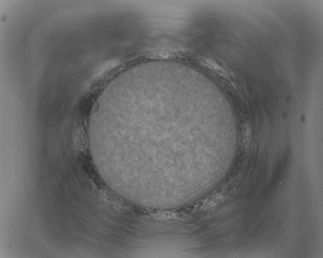 X0000061721446200512231356