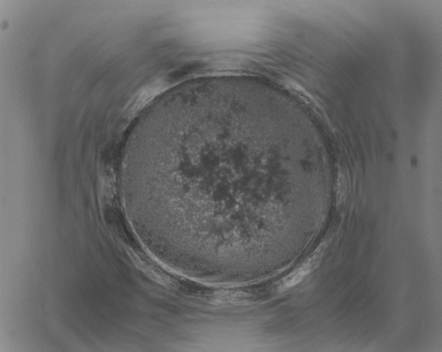 X0000061721449200512231356