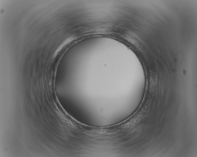 X0000061721450200512231356