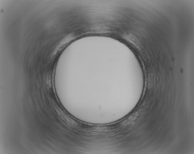 X0000061721451200512231356