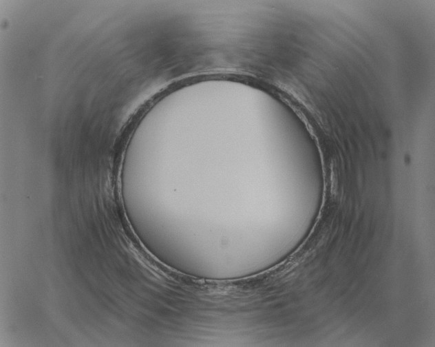 X0000061721452200512231356