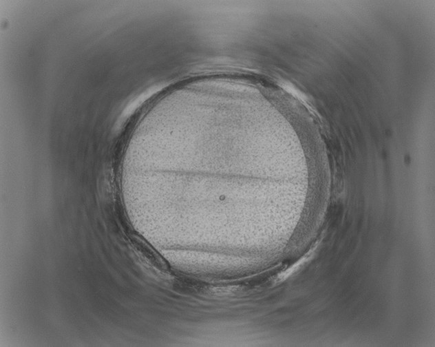 X0000061721453200512231356