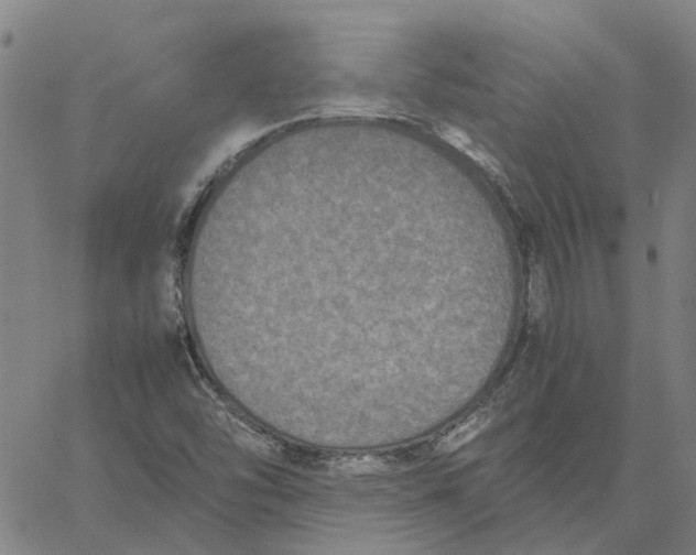 X0000061721454200512231356