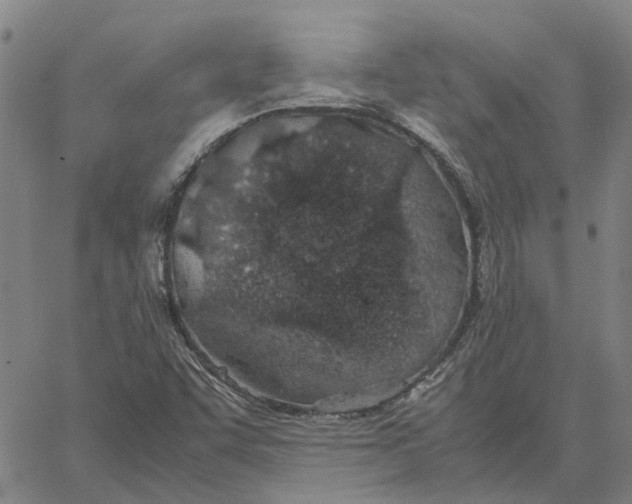 X0000061721455200512231356