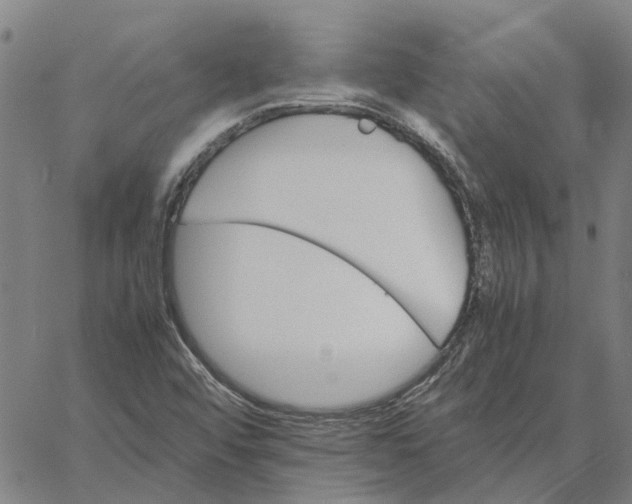 X0000061721456200512231356