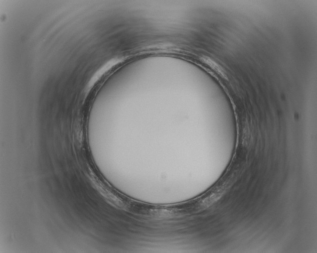 X0000061721458200512231356