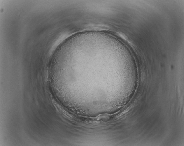 X0000061721459200512231356