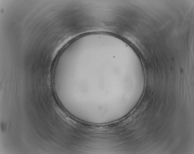 X0000061721460200512231356