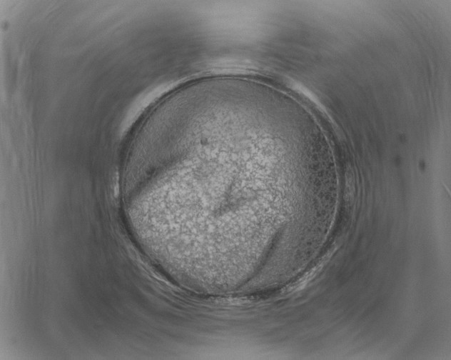 X0000061721461200512231356