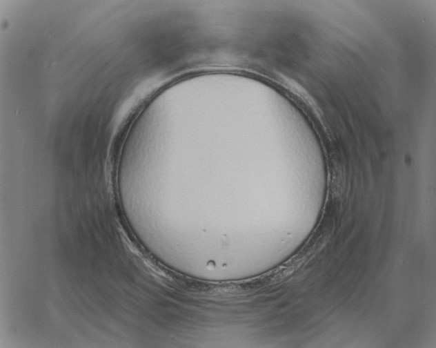 X0000061721464200512231356