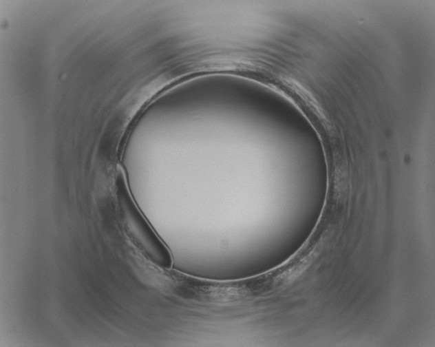 X0000061721465200512231356