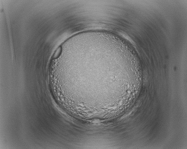 X0000061721467200512231356