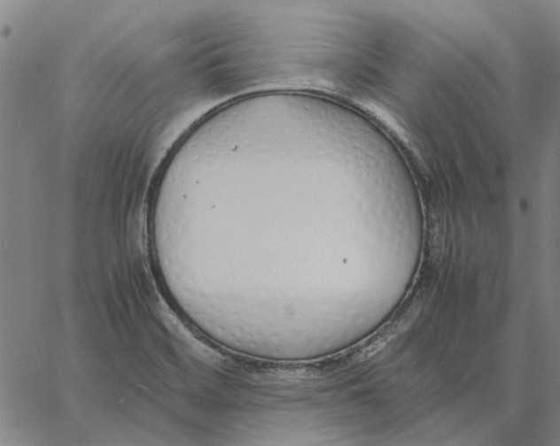 X0000061721468200512231356