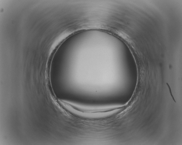 X0000061721469200512231356