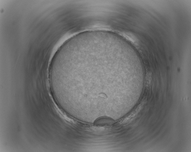 X0000061721470200512231356