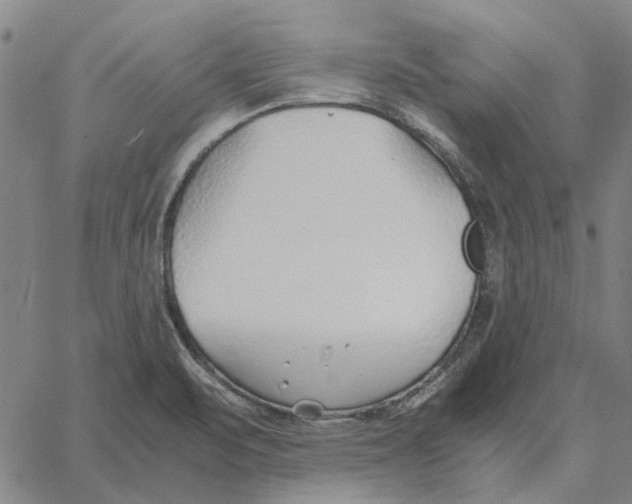 X0000061721471200512231356