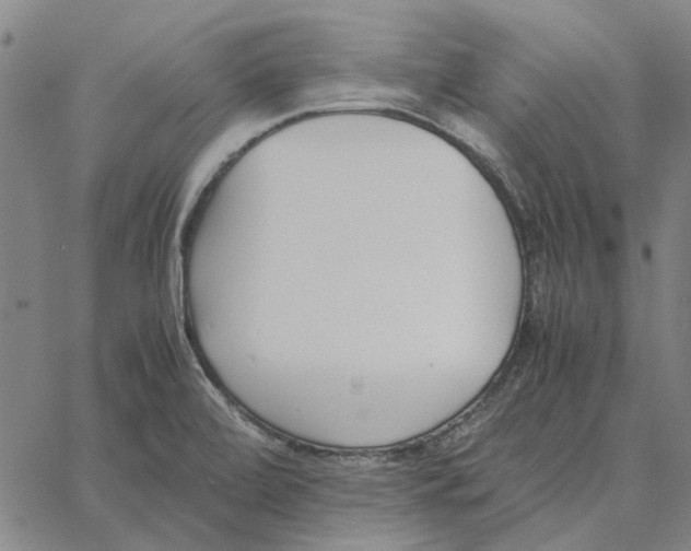 X0000061721472200512231356