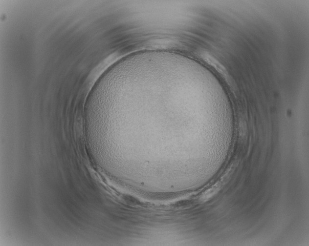 X0000061721473200512231356